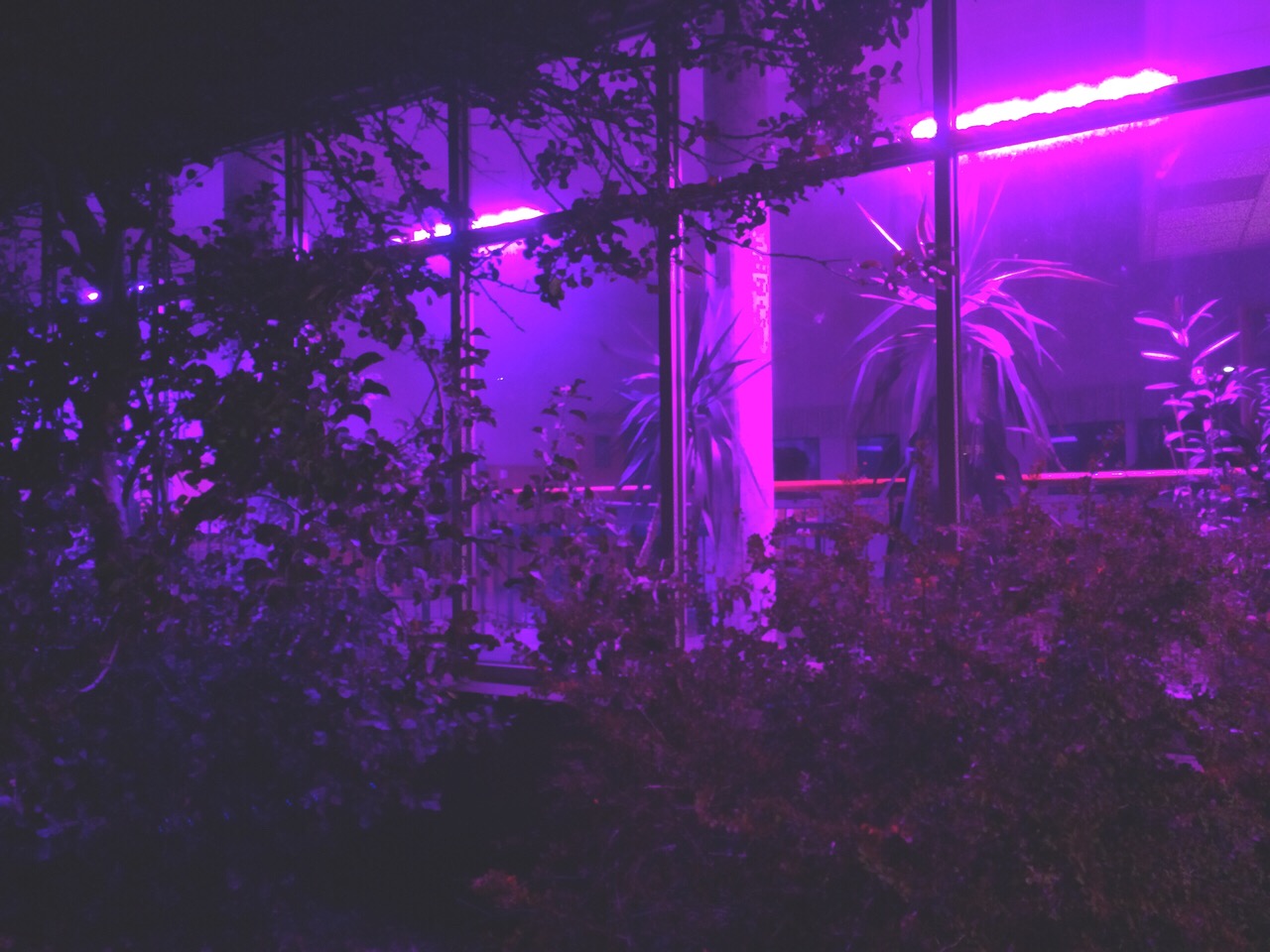 anime aesthetic purple wallpaper